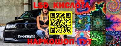 ешки Гай