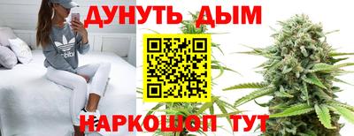 индика Гусь-Хрустальный