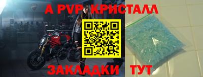 ешки Гай