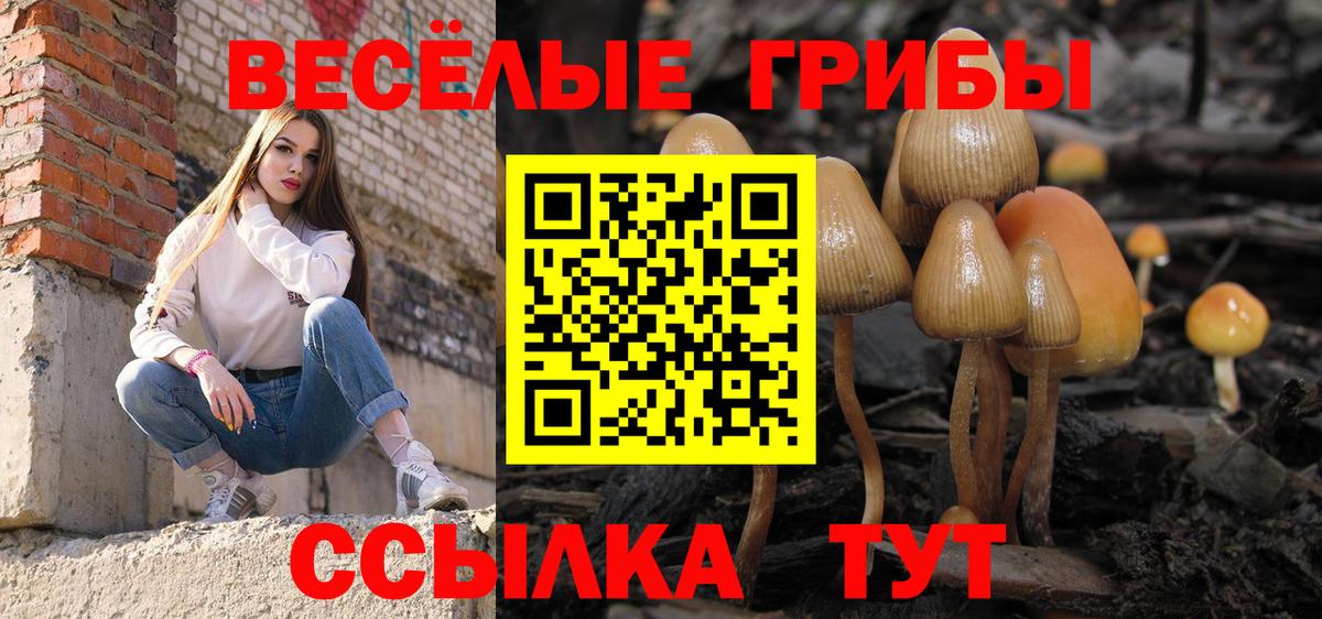 Галлюциногенные грибы прущие грибы  Вход с VPN  Дербент  Псилоцибиновые грибы Psilocybe 